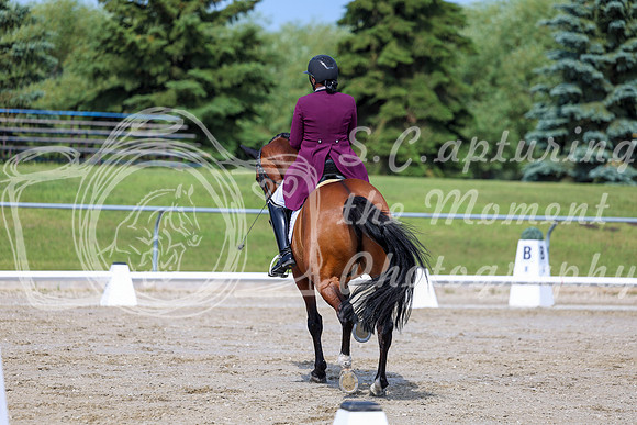 2025 - Dressage Festival - Saturday July 5th - 03211