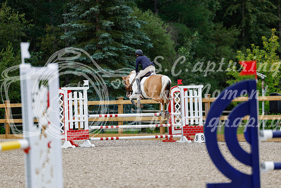 2025 - Haylee - Picco Horse Show - Thursday July 24th 02897