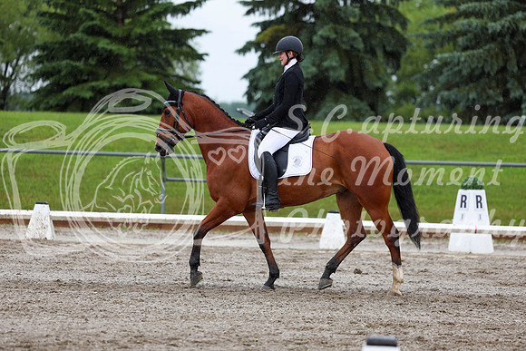 2025 - Dressage Festival - Sunday July 6th - 07322