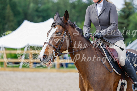 2025 - Haylee - Picco Horse Show - Saturday July 26th 03965