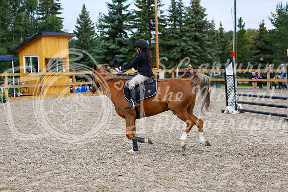2025 - Haylee - Picco Horse Show - Saturday July 26th 02390