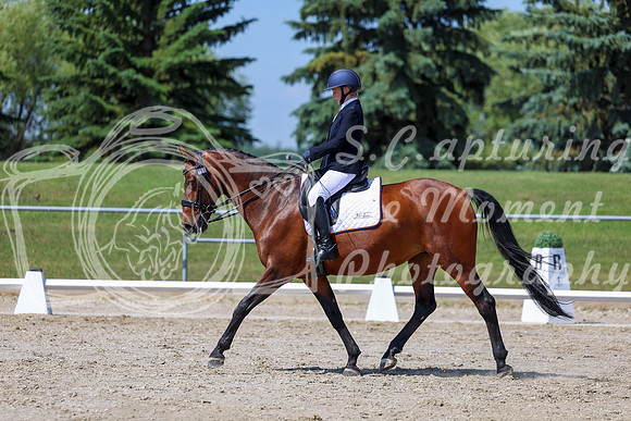 2025 - Dressage Festival - Saturday July 5th - 05665