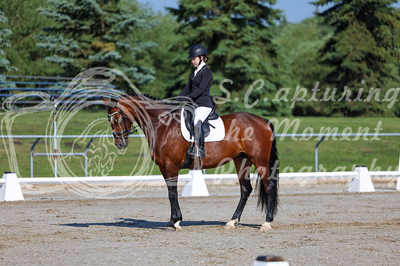 2025 - Dressage Festival - Saturday July 5th - 01263