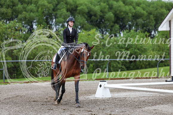 2025 - Dressage Festival - Sunday July 6th - 00816