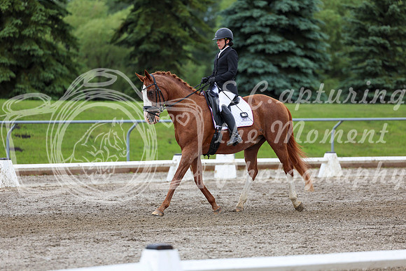2025 - Dressage Festival - Sunday July 6th - 10397