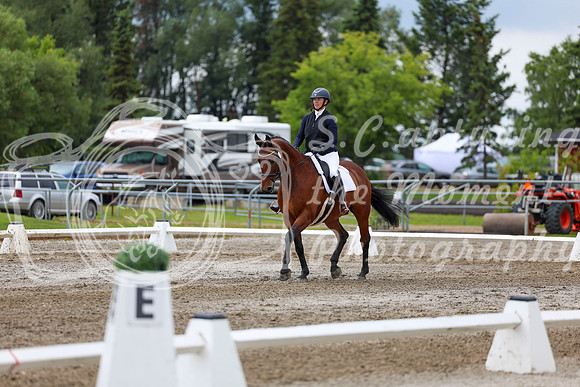 2025 - Dressage Festival - Sunday July 6th - 11774