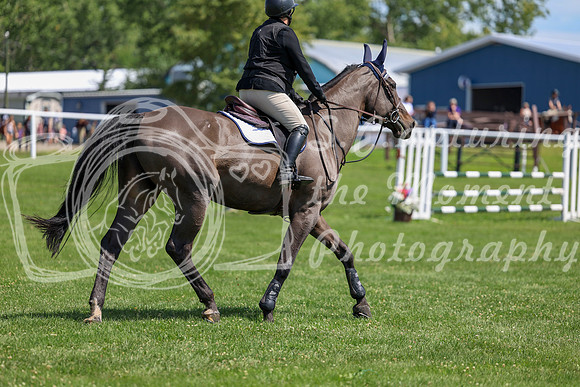 2025 - Shea - Teesdale - Thursday July 24th - 01346