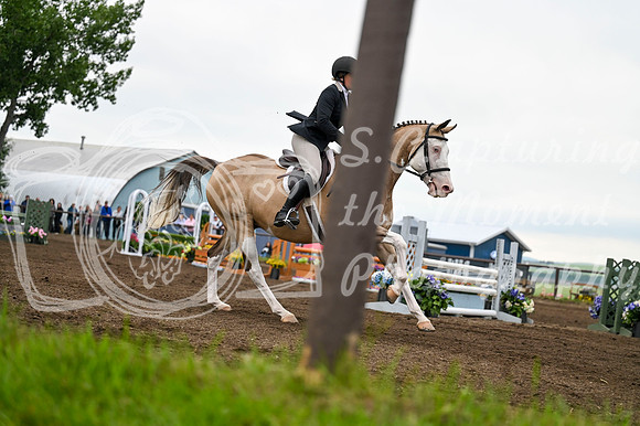 2025 - MJ - Teesdale - Saturday July 26th - 10711