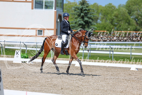 2025 - Dressage Festival - Saturday July 5th - 15509