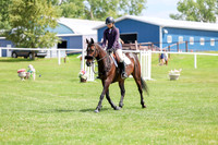 2025 - Shea - Teesdale - Thursday July 24th - 00629