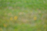 2025 - Julia - Blue Sky Classic - Saturday, May 17th 26321