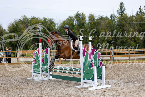 2025 - Haylee - Picco Horse Show - Friay July 25th 01390