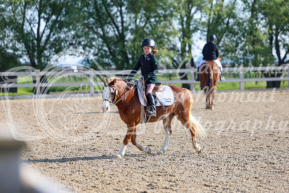2025 - Dressage Festival - Saturday July 5th - 00007