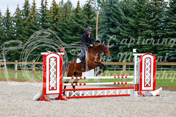 2025 - Haylee - Picco Horse Show - Saturday July 26th 06015