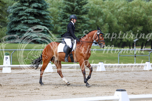 2025 - Dressage Festival - Saturday July 5th - 07370