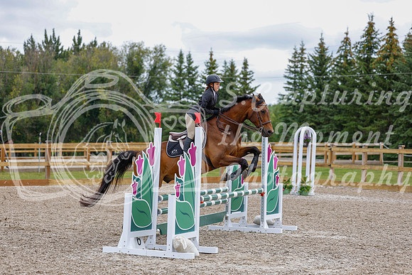 2025 - Haylee - Picco Horse Show - Saturday July 26th 04268