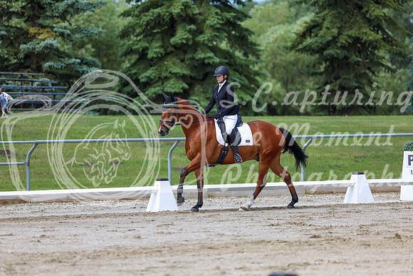 2025 - Dressage Festival - Saturday July 5th - 07374