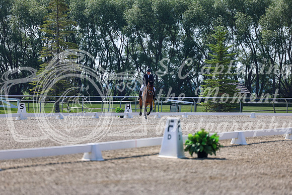 2025 - Dressage Festival - Saturday July 5th - 02371
