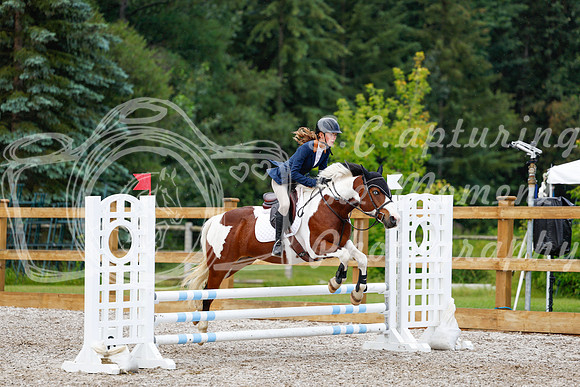 2025 - Haylee - Picco Horse Show - Sunday July 27th 01684