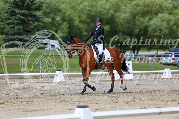 2025 - Dressage Festival - Saturday July 5th - 07292