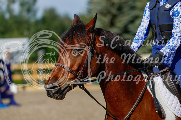 2025 - Haylee - Picco Horse Show - Thursday July 24th 00543