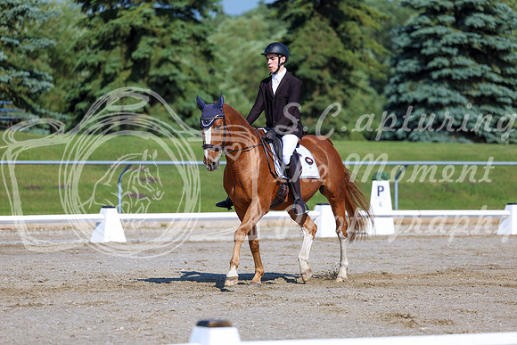 2025 - Dressage Festival - Saturday July 5th - 01700