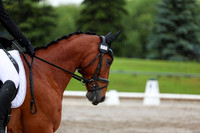 2025 - Dressage Festival - Sunday July 6th - 07227