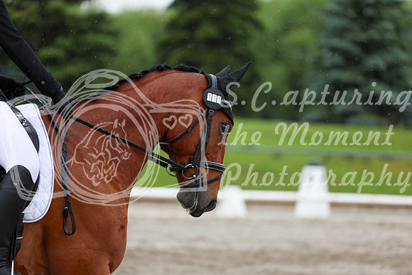 2025 - Dressage Festival - Sunday July 6th - 07227