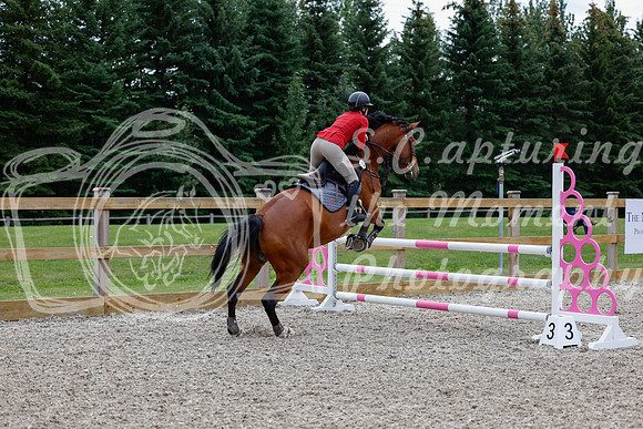 2025 - Haylee - Picco Horse Show - Thursday July 24th 02946