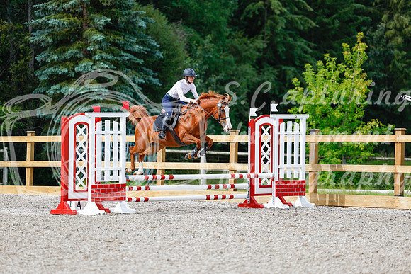 2025 - Haylee - Picco Horse Show - Friay July 25th 00901