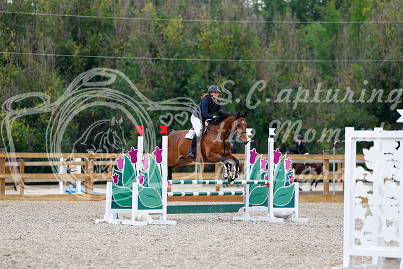 2025 - Haylee - Picco Horse Show - Saturday July 26th 05521