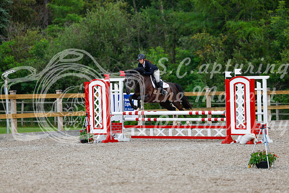 2025 - Haylee - Picco Horse Show - Sunday July 27th 03512