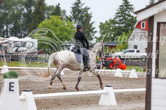 2025 - Dressage Festival - Sunday July 6th - 02151