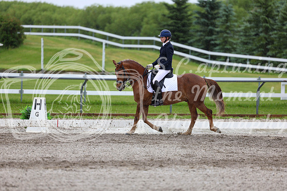 2025 - Dressage Festival - Sunday July 6th - 07639