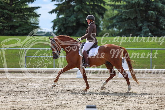2025 - Dressage Festival - Saturday July 5th - 14149