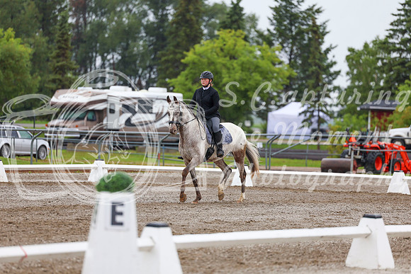 2025 - Dressage Festival - Sunday July 6th - 02108