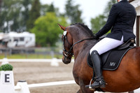 2025 - Dressage Festival - Sunday July 6th - 09015