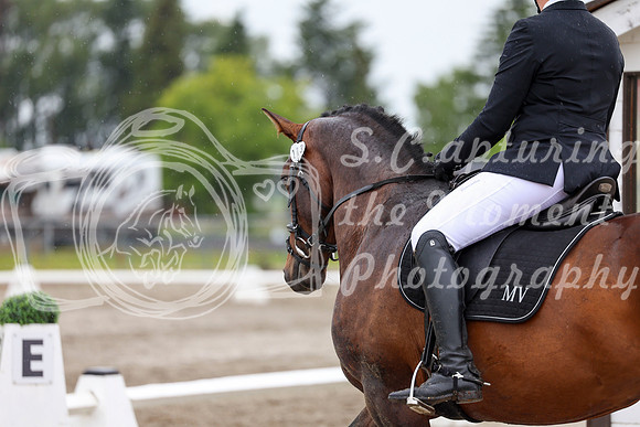 2025 - Dressage Festival - Sunday July 6th - 09015