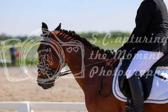 2025 - Dressage Festival - Saturday July 5th - 05153