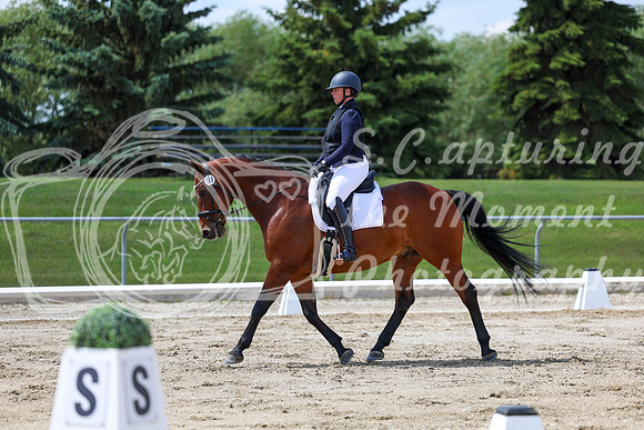 2025 - Dressage Festival - Saturday July 5th - 09731