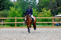 2025 - Haylee - Picco Horse Show - Saturday July 26th 05444