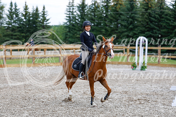 2025 - Haylee - Picco Horse Show - Saturday July 26th 02305