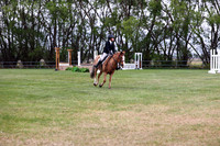 Pony