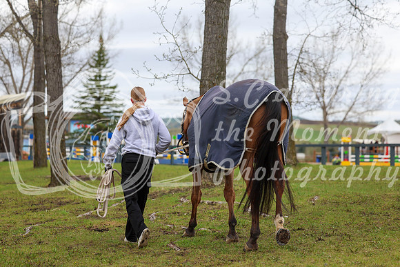 2025 - Shea - Bow Valley II - Thursday May 15th - 00491