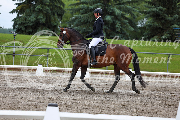 2025 - Dressage Festival - Sunday July 6th - 09055