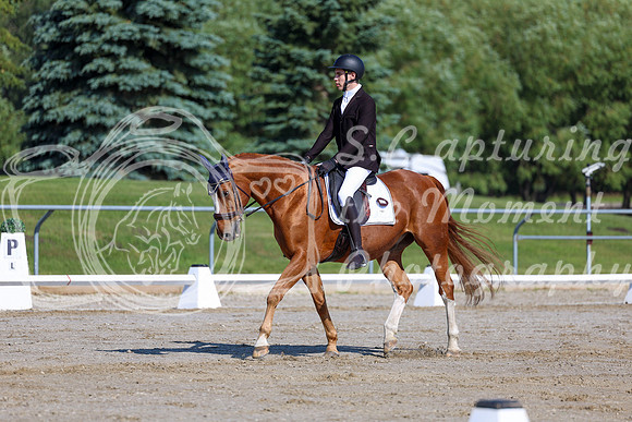 2025 - Dressage Festival - Saturday July 5th - 01656