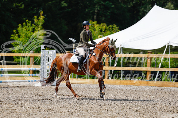 2025 - Haylee - Picco Horse Show - Sunday July 27th 03140