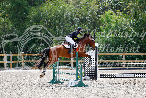 2025 - Haylee - Picco Horse Show - Sunday July 27th 03939