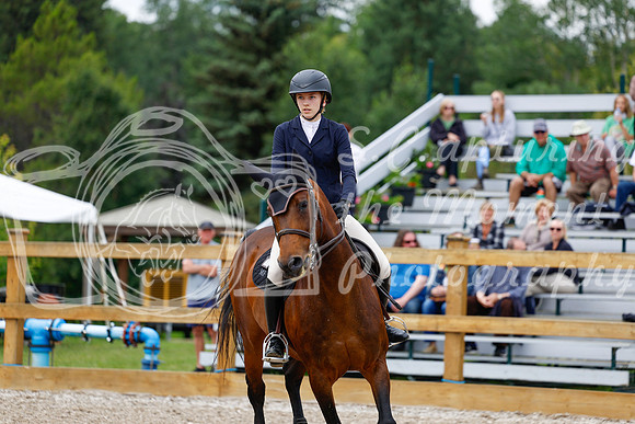 2025 - Haylee - Picco Horse Show - Saturday July 26th 04650