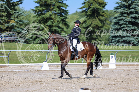 2025 - Dressage Festival - Saturday July 5th - 05277